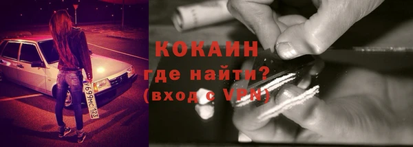 кокс Алексин