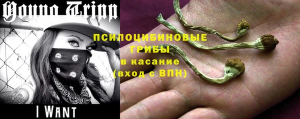 кокс Алексин