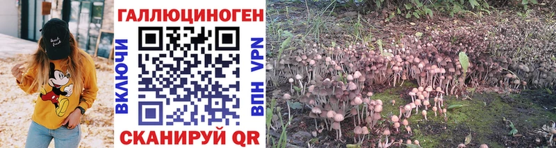 Галлюциногенные грибы Cubensis Мыски