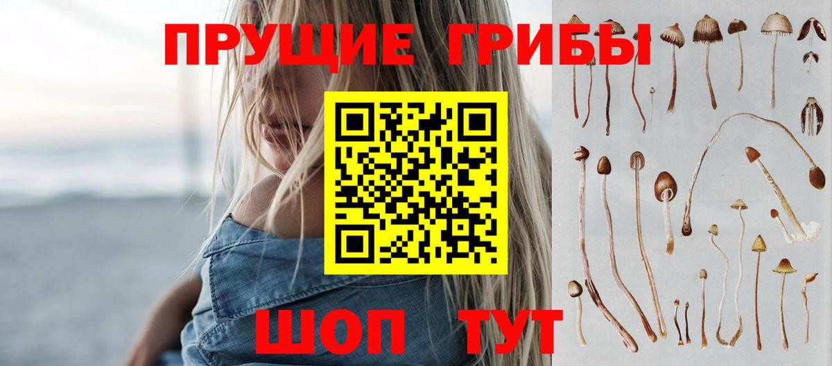 Мыски  Псилоцибиновые грибы прущие грибы  Вход с VPN 
